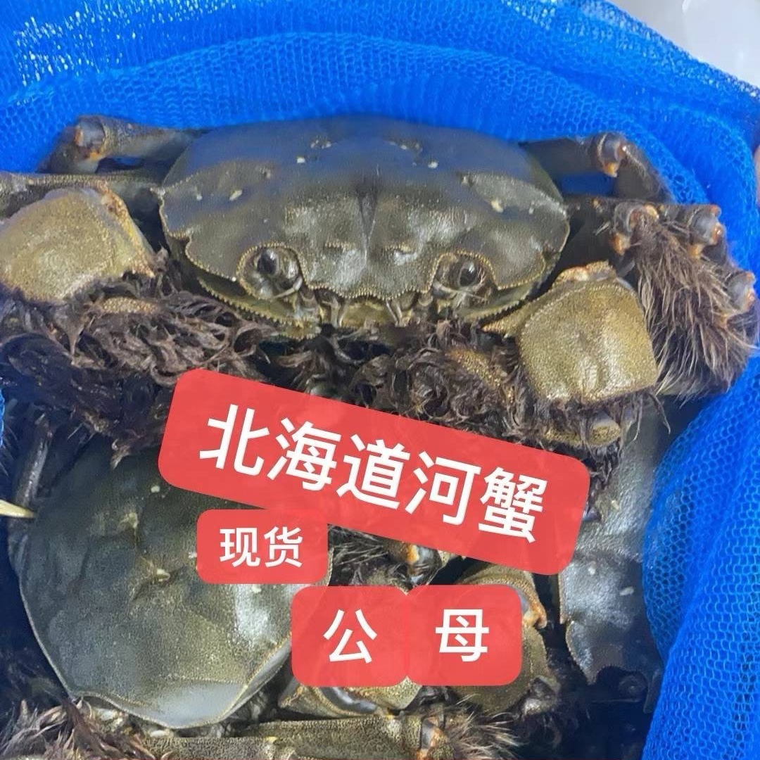 【冷藏】甄选北海道河蟹 10KG包邮